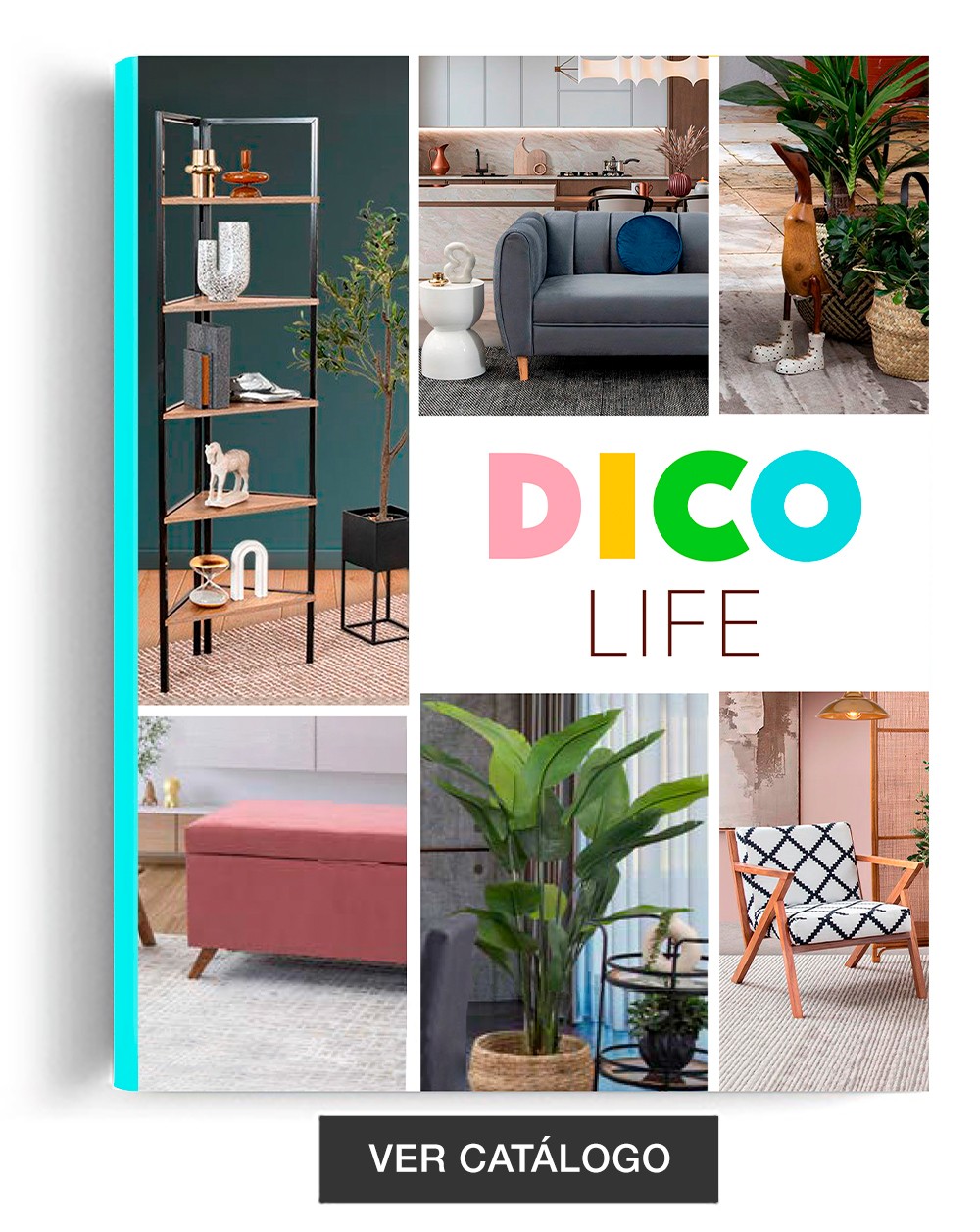 dico_life_1