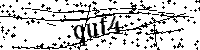 Por favor, escriba las letras y los números siguientes