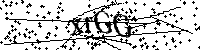 Por favor, escriba las letras y los números siguientes