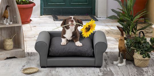 Sillon para sales perro muebles dico