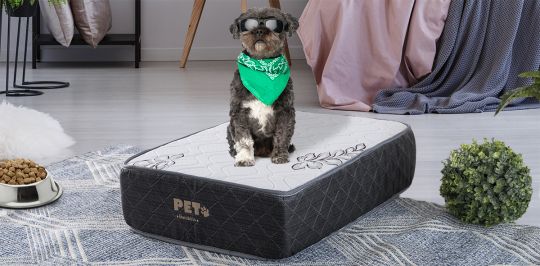 Sillon para sales perro muebles dico