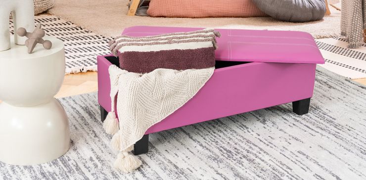 Banca Baúl Ecko II Rosa