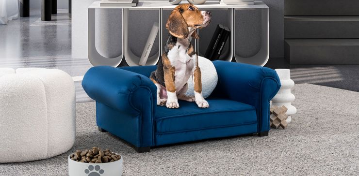 Cama Pet Lizza Azul