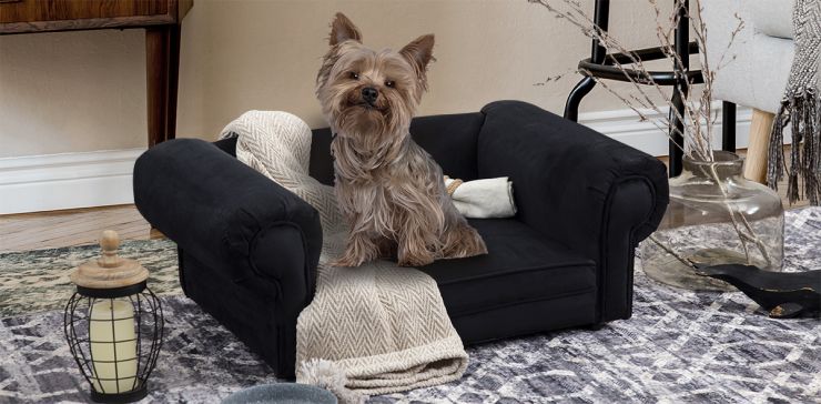 Cama Pet Lizza Negro