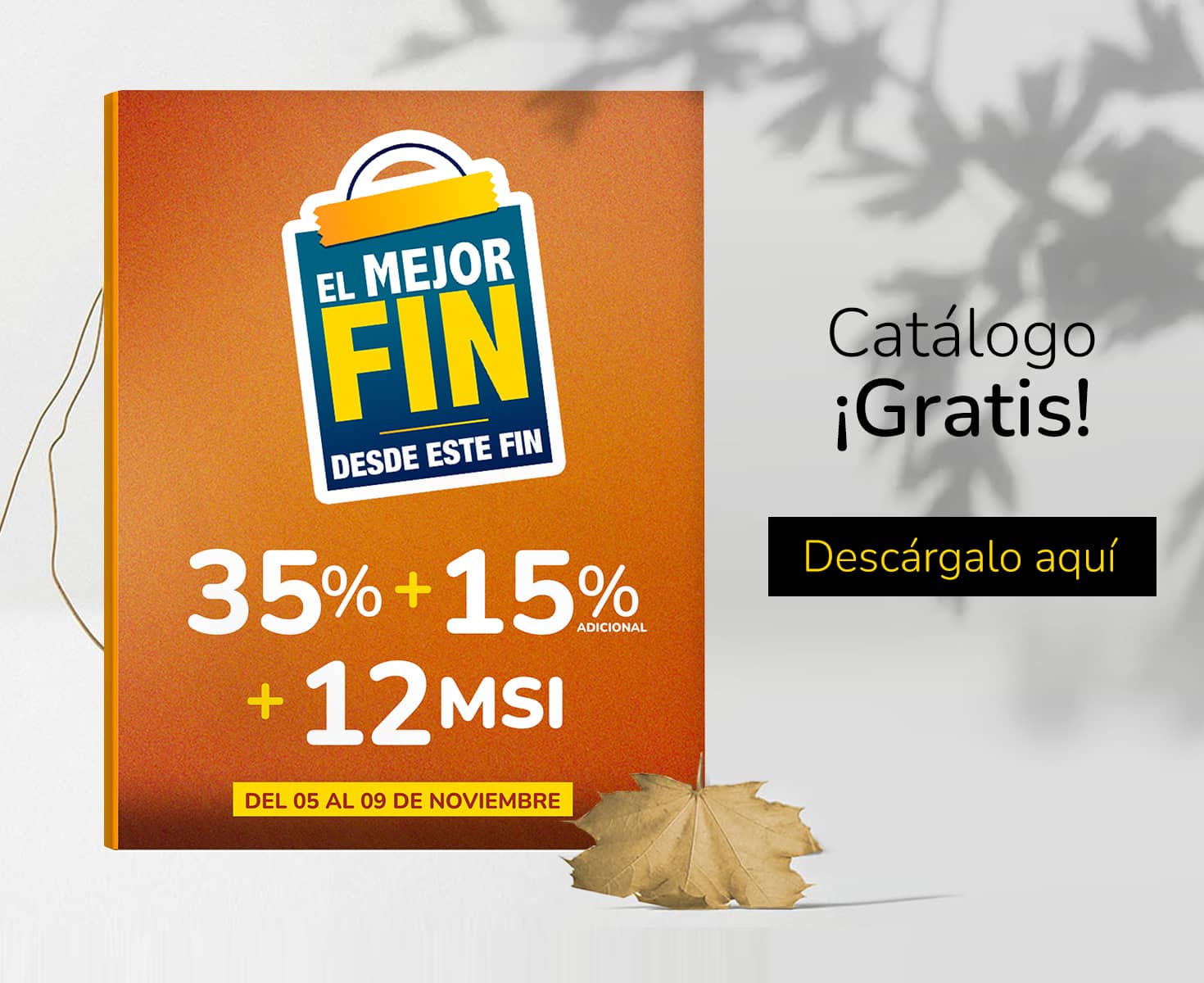 catalogo-mfdef-bajio