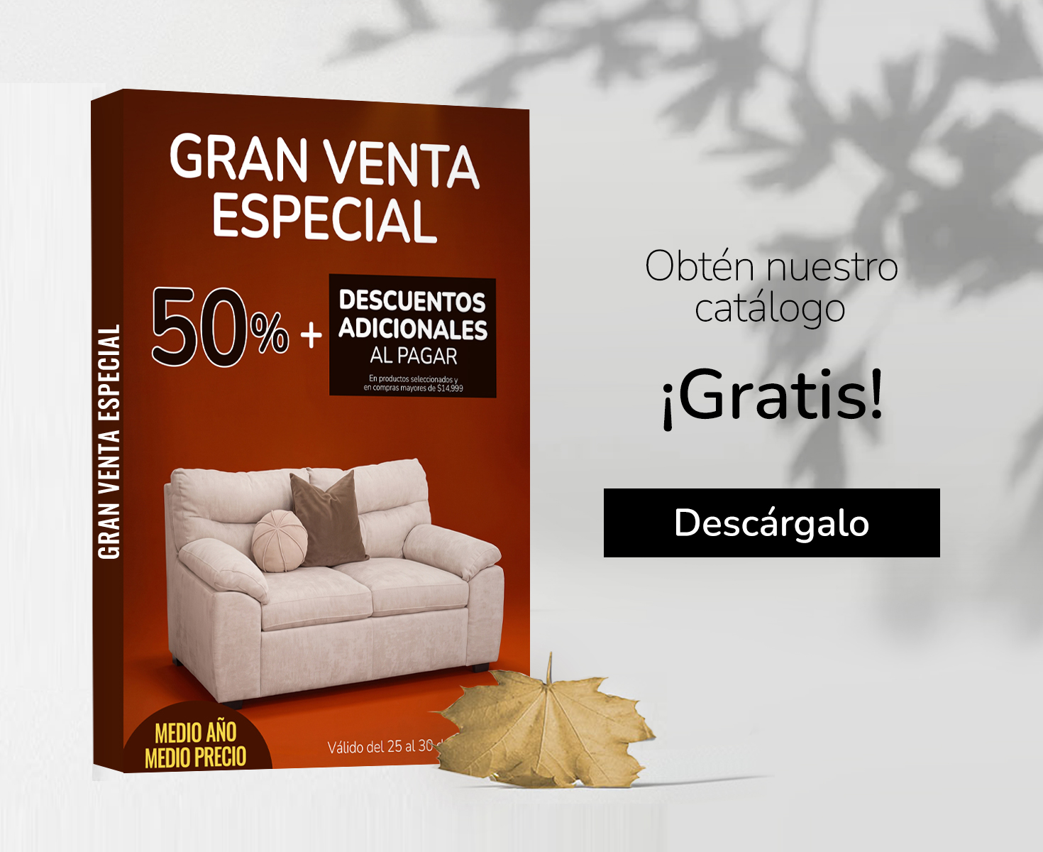 25-sep-bn-catalogo-ve-mov